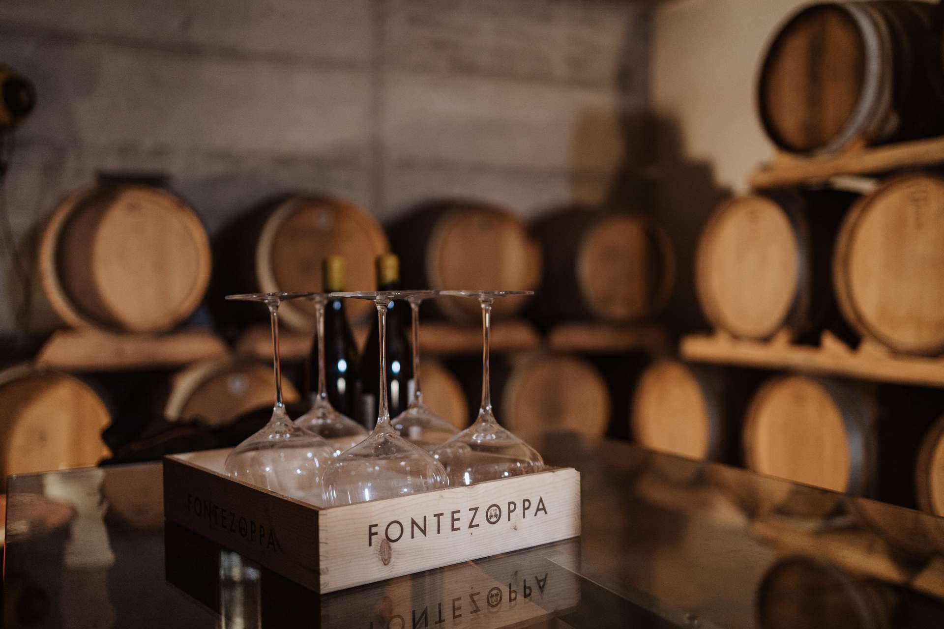 colli-maceratesi-doc-ribona-cantina-fontezoppa-10