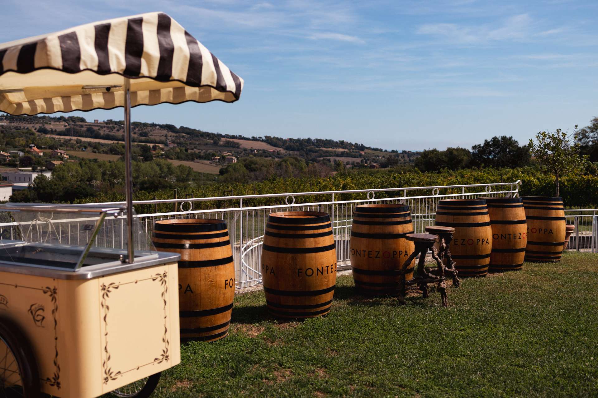 colli-maceratesi-doc-ribona-cantina-fontezoppa-3