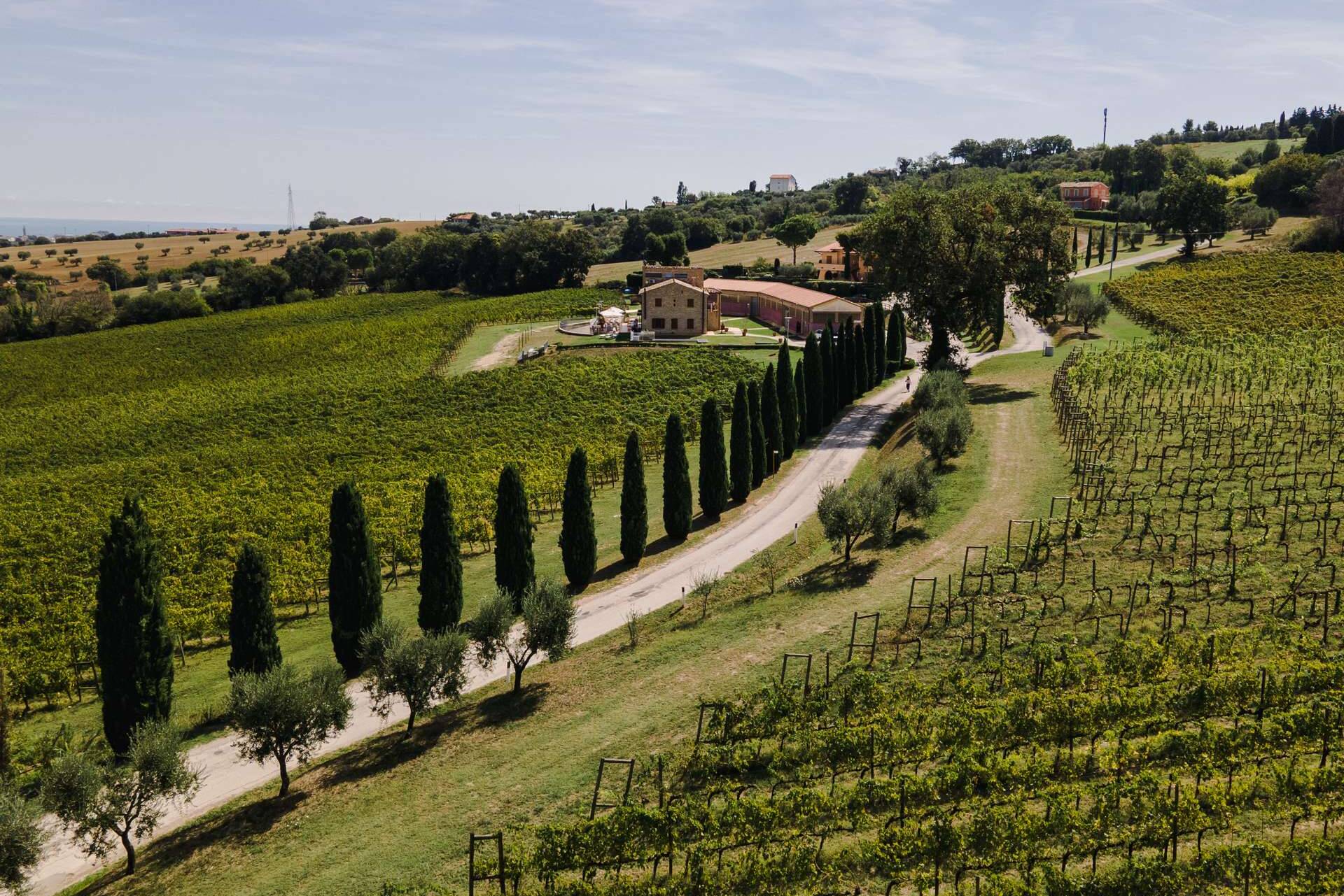 colli-maceratesi-doc-ribona-cantina-fontezoppa-5