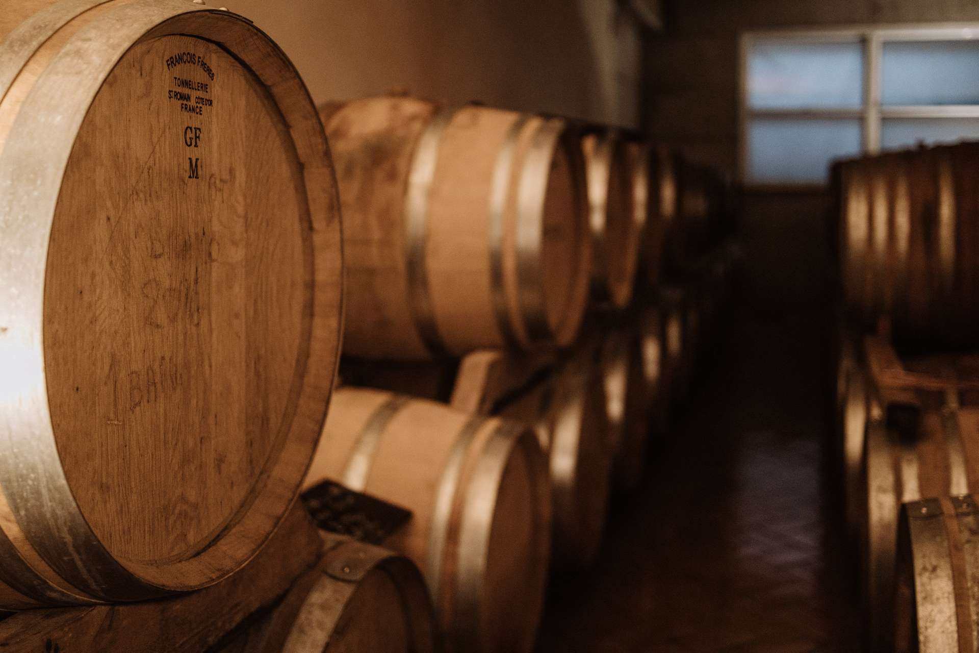 colli-maceratesi-doc-ribona-cantina-fontezoppa-9